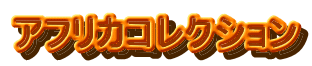 アフリカコレクション
